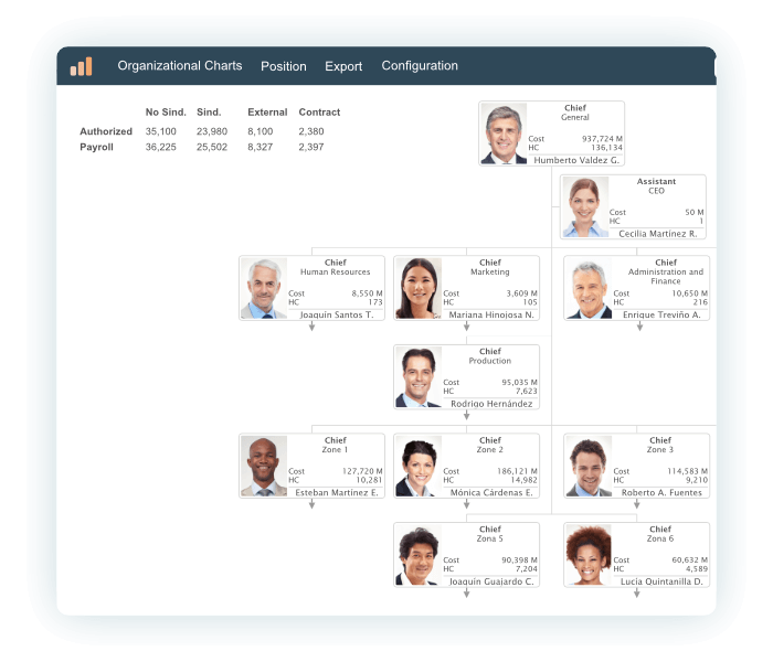 Generate the organization chart from any source